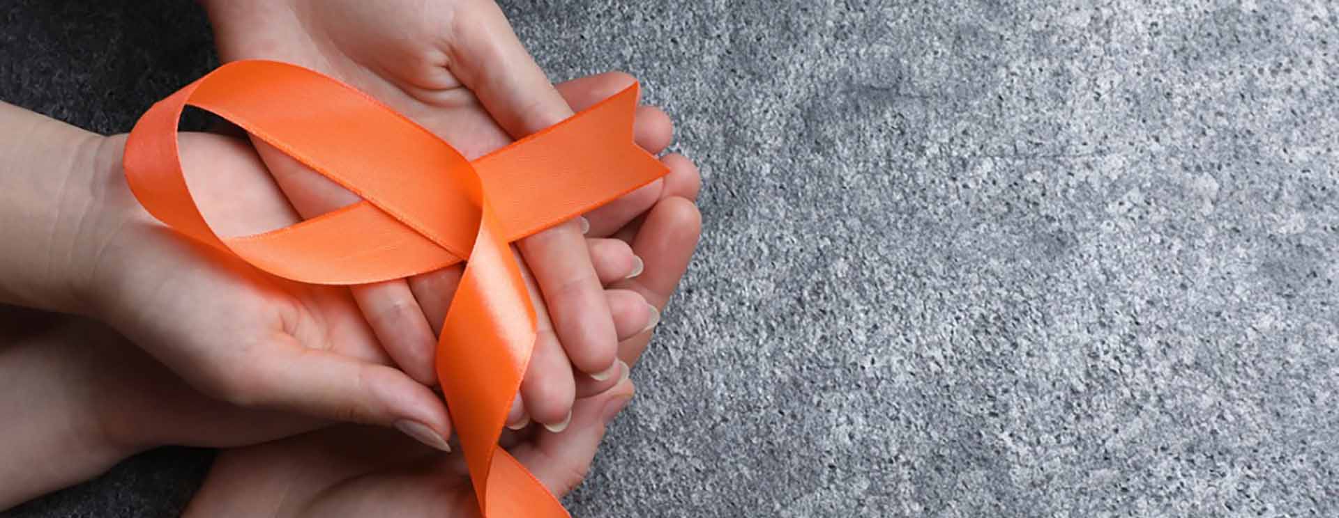 Multiple Sclerosis and Physiotherapy: Building a Body That Endures