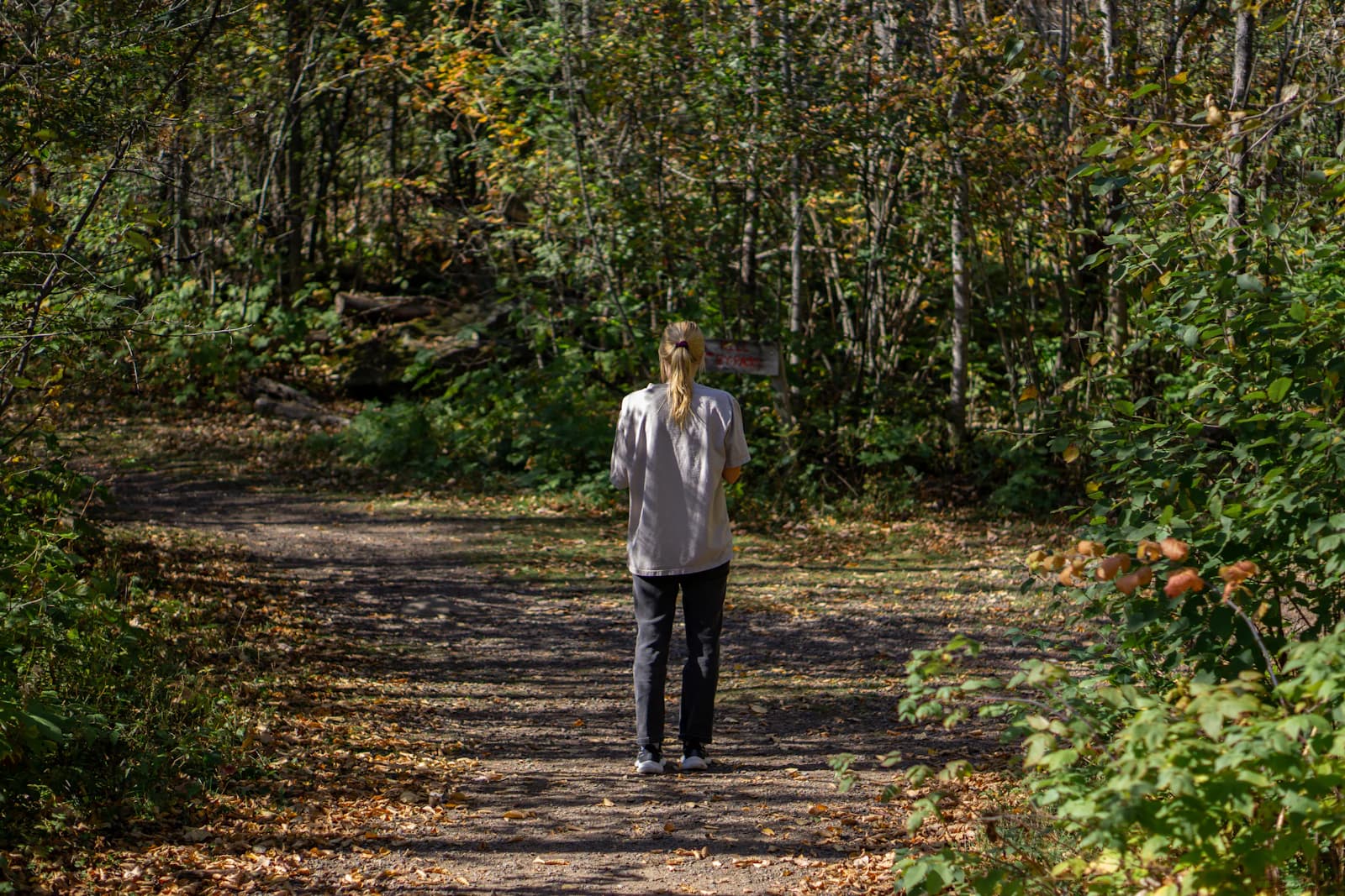 Chronic Pain: What It Is, Why It Persists and How Physiotherapy Helps